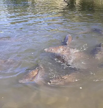 Cenni - Relais Su Appartamento