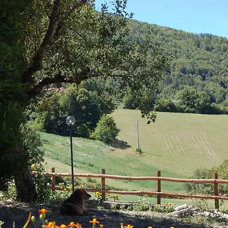 Cenni - Relais Su * Varsi